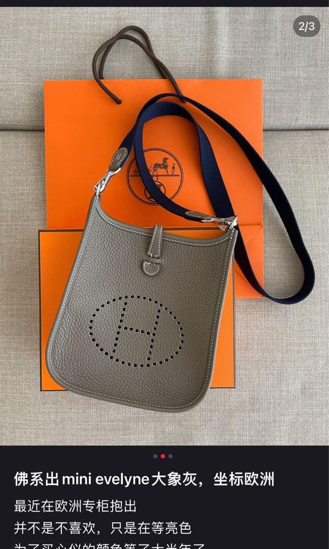 Hermes mini evelyne 16 etoupe color, Luxury, Bags & Wallets on Carousell