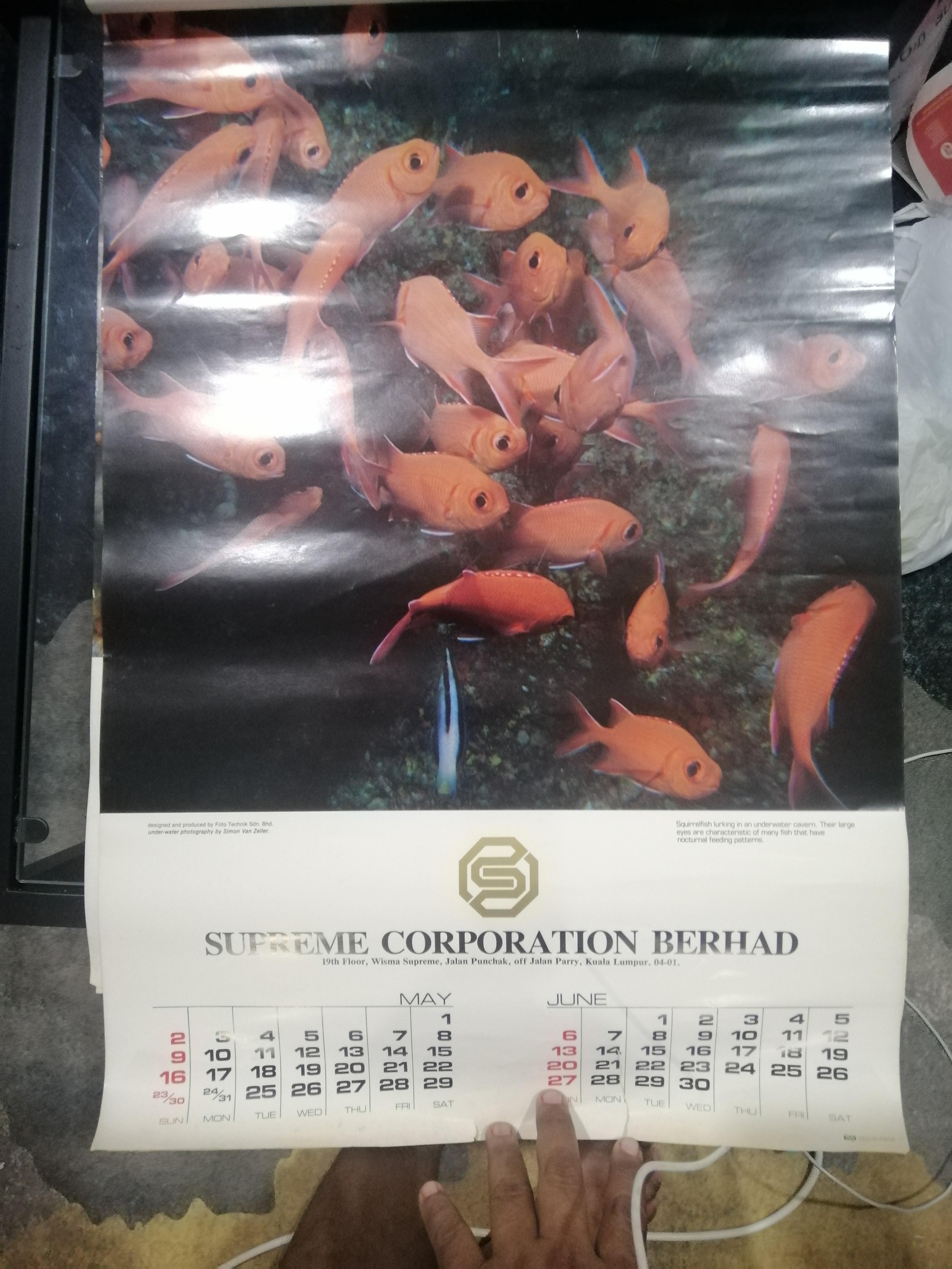 Kalendar tahun 1982, Hobbies & Toys, Collectibles & Memorabilia