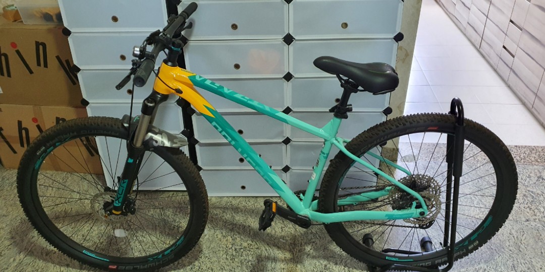 polygon 29er