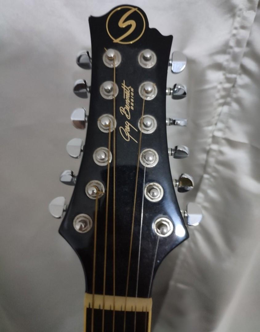 12 string semi acoustic guitar