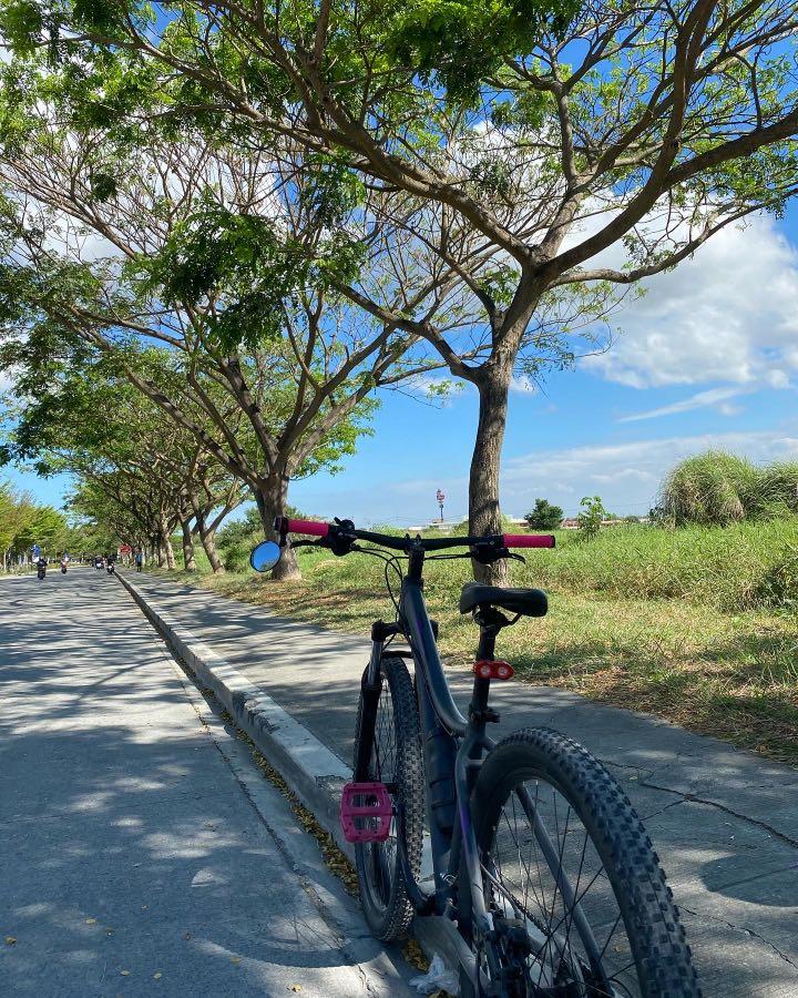 trek women's bicycles