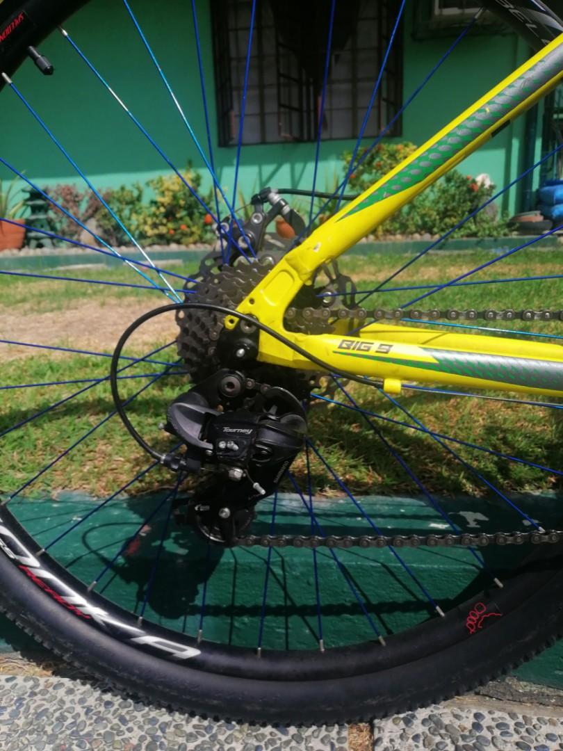 Trinx majest on sale 520 price