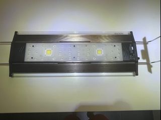 （分類：）位於 。 由 maxiumwell 提交（商品編號 1151966569，圖片 1）。簡介： 。
