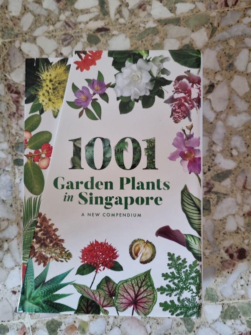 1001_garden_plants_in_singapor_1646277541_34aaaad0