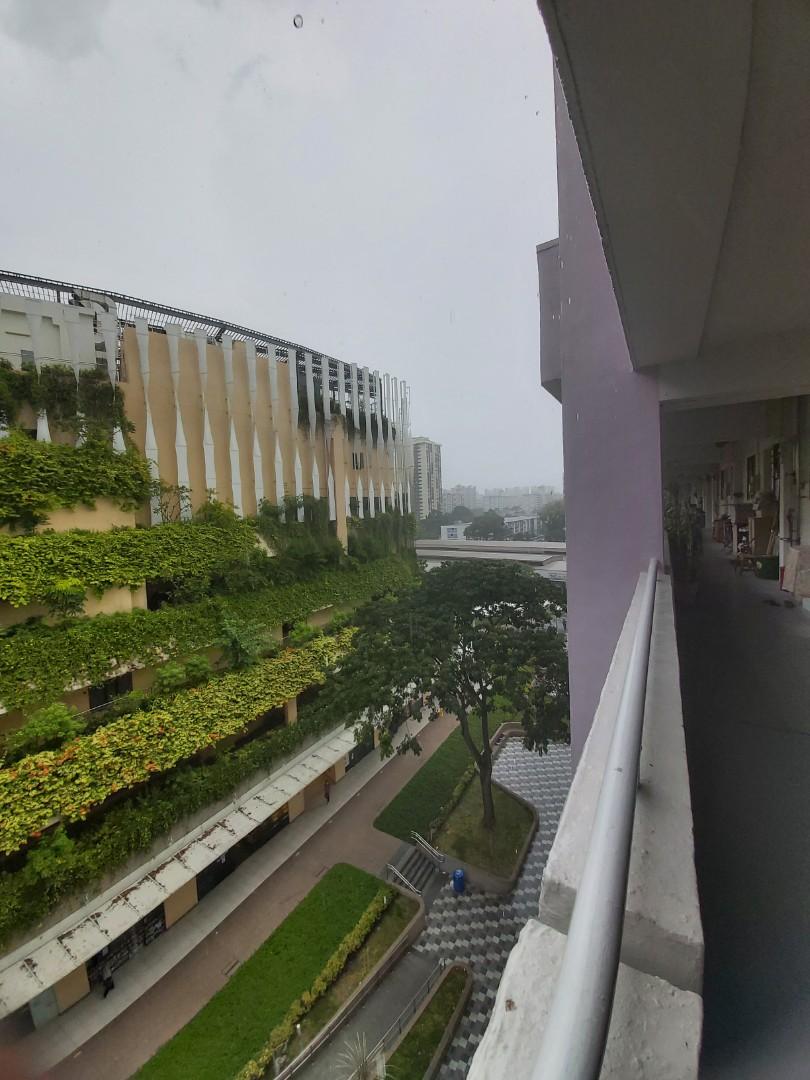 213 Bedok North Street 1, Property, For Sale, HDB on Carousell