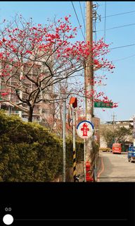由 soloam (刊登 ID 1146810525，圖片 1) 提交，位於 的 (類別：)，說明：。