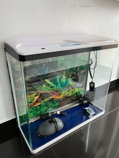 (Category: ) located in . Submitted by chiew74 (Listing ID 1146793463, Image 1). Description: .