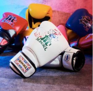 Tao boxing gloves on sale