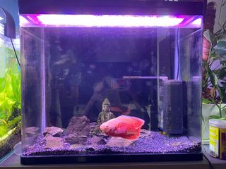 (Category: ) located in . Submitted by khershin (Listing ID 1146812020, Image 1). Description: .