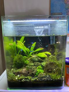 (Category: ) located in . Submitted by khershin (Listing ID 1146812401, Image 1). Description: .