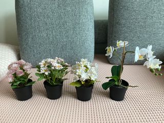 （分類：）位於 。 由 ajanec 提交（商品編號 1146768195，圖片 1）。簡介： 。