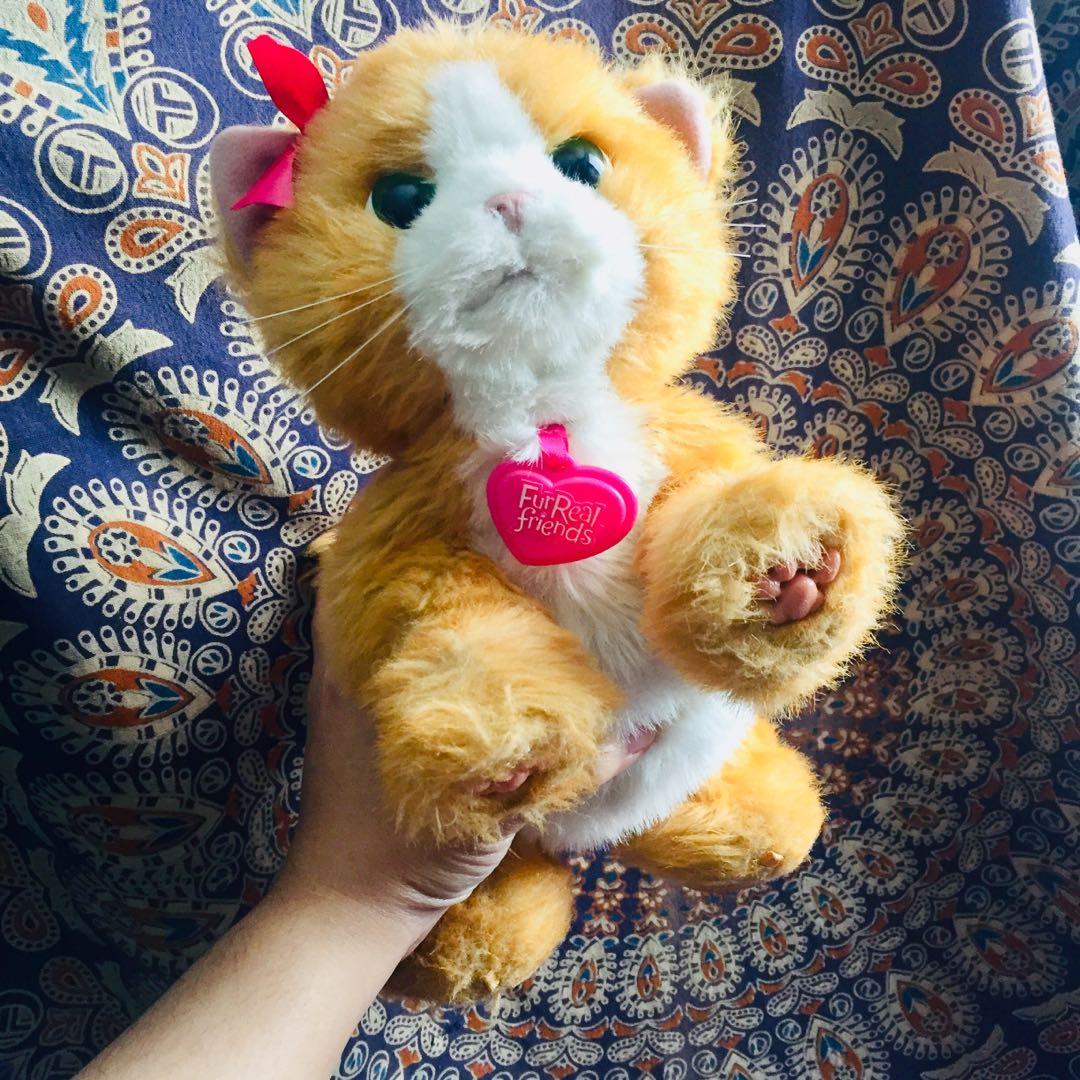 Furreal friends 2025 cat daisy