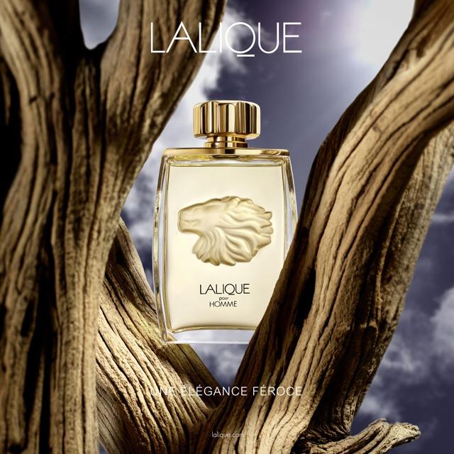 Lalique pour homme new arrivals edp