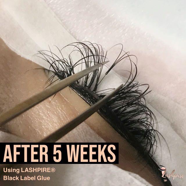 LASHPIRE® BLACK LABEL Eyelash Extensions Glue Rapid Bond High ...