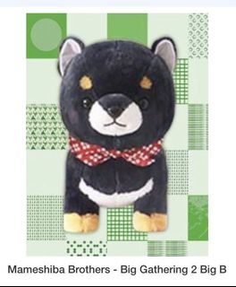 (Category: ) located in . Submitted by stuffplush (Listing ID 1146779344, Image 1). Description: .