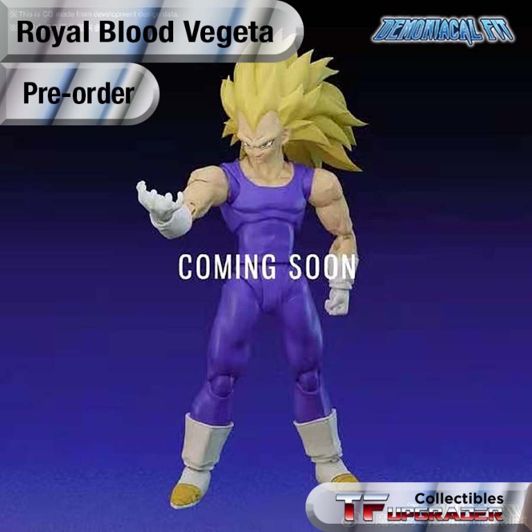 Pre Order**Demoniacal Fit Royal Blood (Vegeta) Action Figure – Toyz in the  Box