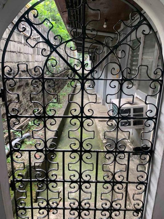 Below Market Value House and Lot in Dona Faustina 584 sqm, Property