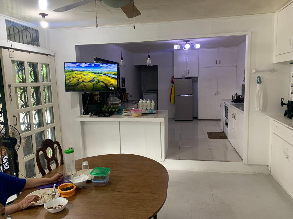 Below Market Value House and Lot in Dona Faustina 584 sqm, Property