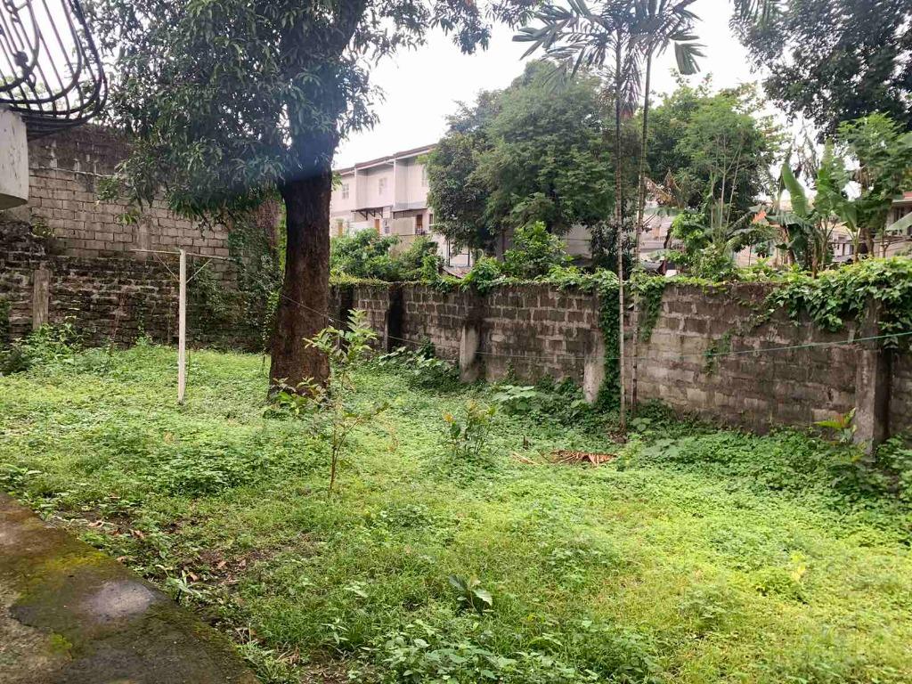 Below Market Value House and Lot in Dona Faustina 584 sqm, Property