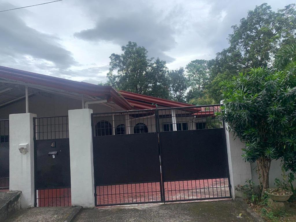 Below Market Value House and Lot in Dona Faustina 584 sqm, Property