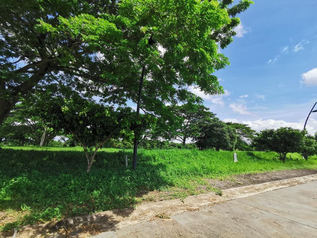 Luscara Nuvali Below Market Value Lot for Sale in Calamba, Laguna