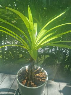 (Category: ) located in . Submitted by yuanyy (Listing ID 1152037312, Image 1). Description: .