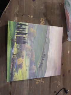 (Category: ) located in . Submitted by melissascape (Listing ID 1152308360, Image 1). Description: .