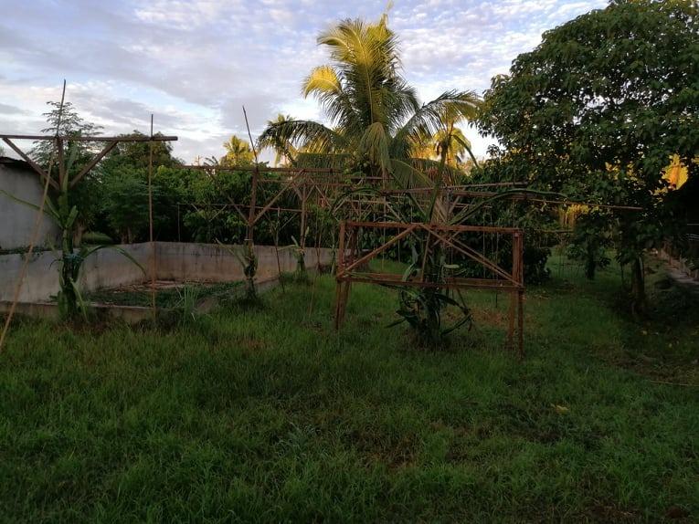 FARM House Tiaong Quezon 2.5hrs from Makati, Property, For Sale, Lot on