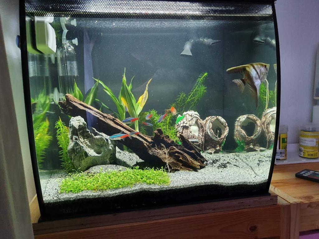 All in one freshwater aquarium Clearance