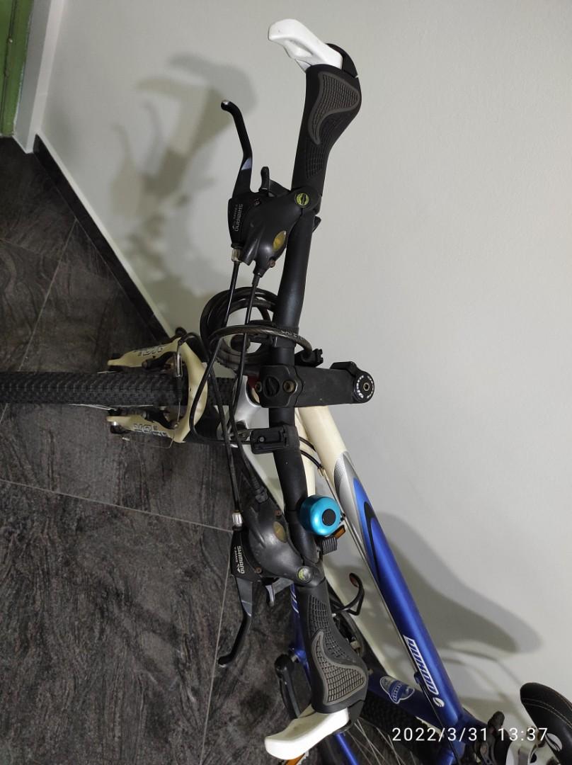 Scott aspect 2024 95