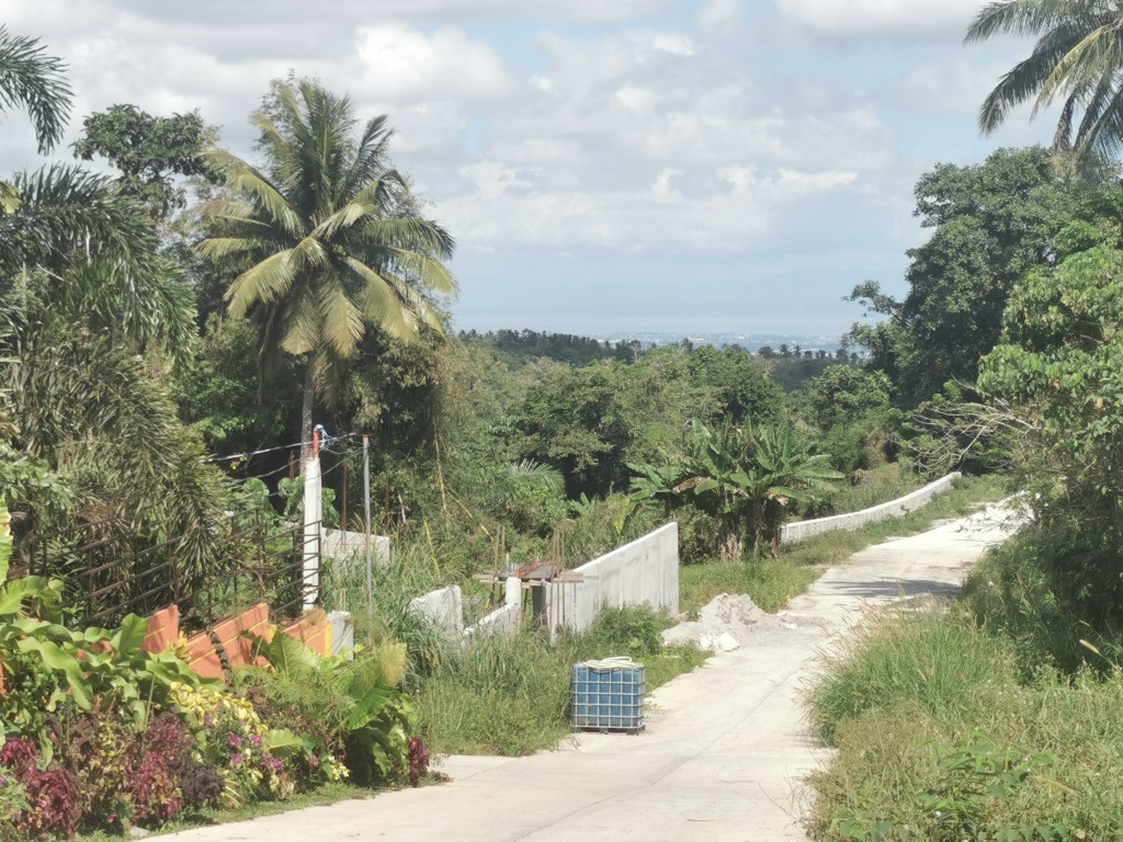 Lot very near Tagaytay Below Zonal Value, Property, For Sale, Lot on