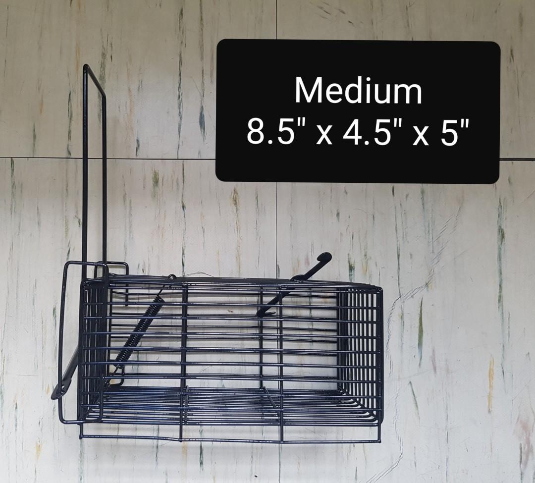 Rat trap mouse trap heavy duty for medium sized rats (Category: Pest Control) located in Quezon City. Submitted by c0ol_stuff (Listing ID 1152224336, Image 1). Description: heavy duty rat trap super effective no assembly required proudly philippine made not china.