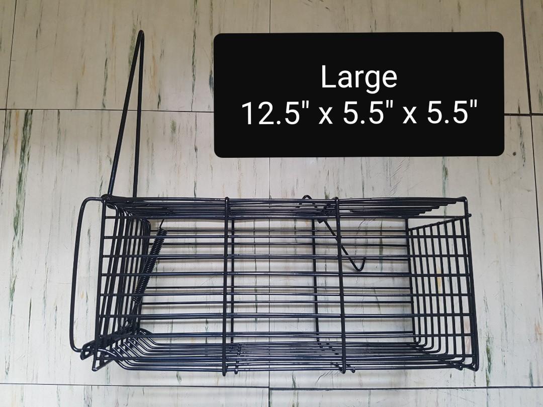 Rat trap mouse trap heavy duty for large sized rats (Category: Pest Control) located in Quezon City. Submitted by c0ol_stuff (Listing ID 1152224505, Image 1). Description: heavy duty rat trap super effective no assembly required proudly philippine made not china.