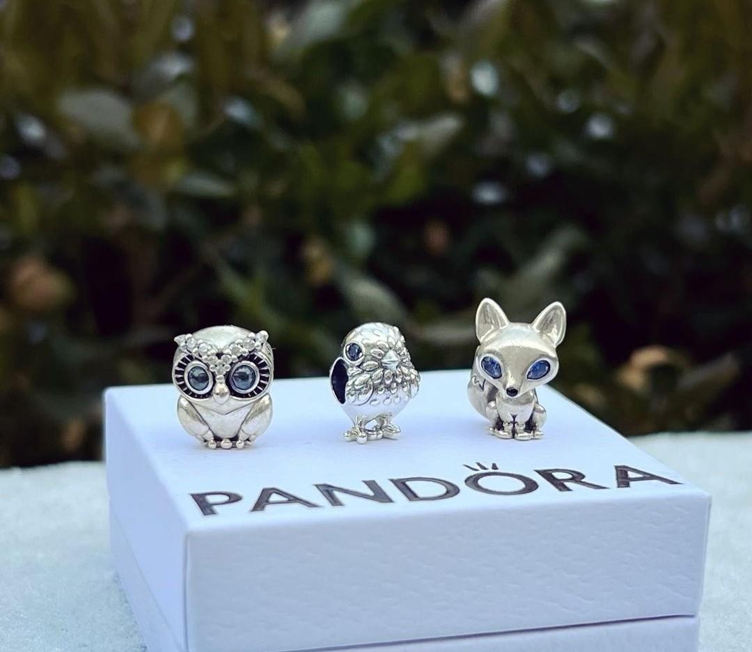 Pandora owl earrings deals