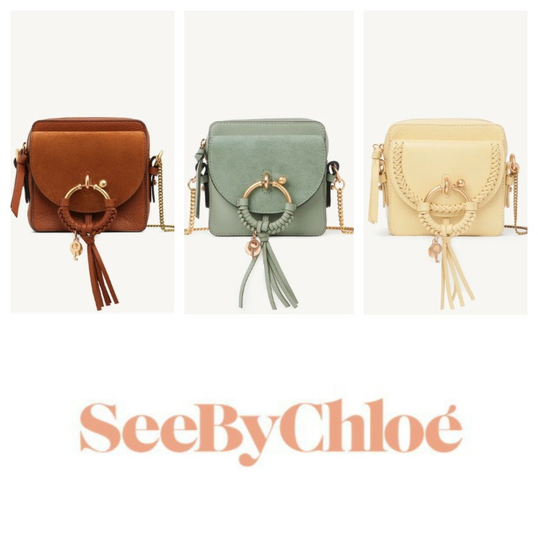 Chloe joan camera best sale bag