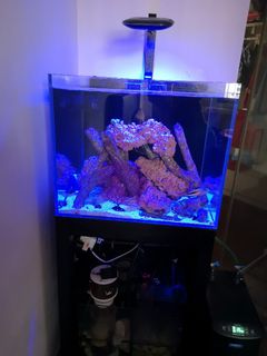 (Category: ) located in . Submitted by vino05 (Listing ID 1147007869, Image 1). Description: .