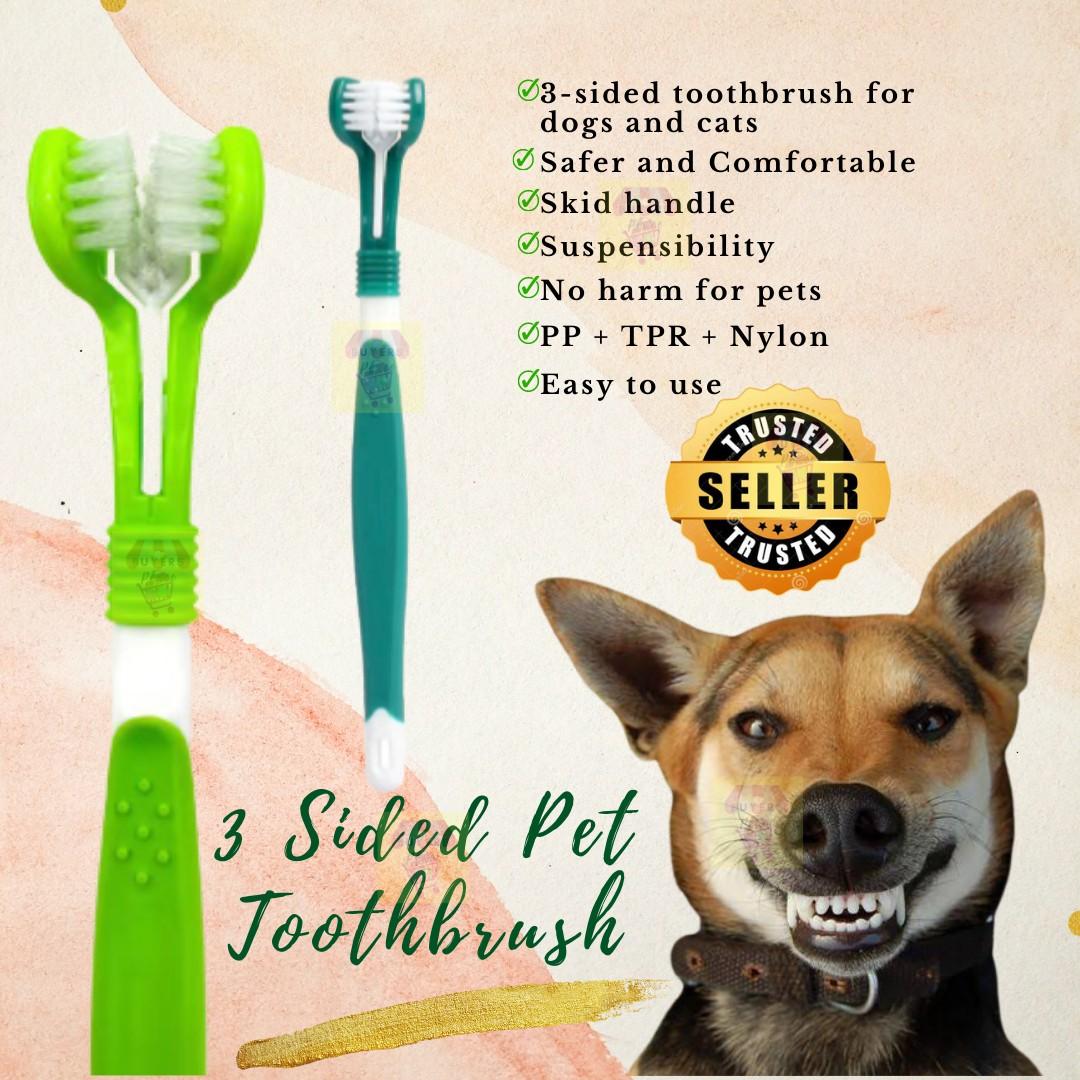 What Toothbrush To Use For Dogs