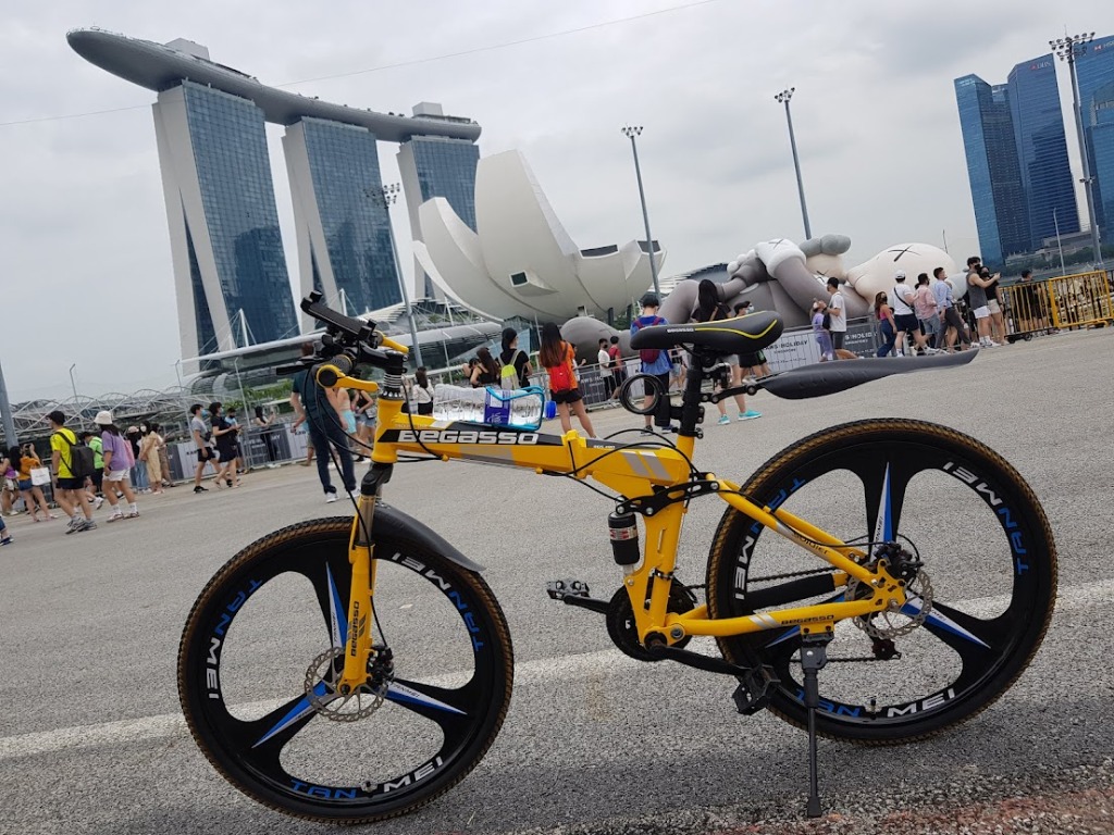 begasso road bicycle review