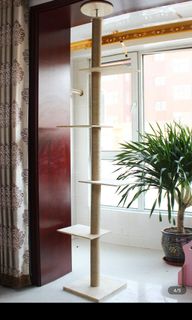 (Category: ) located in . Submitted by turquoisecloset (Listing ID 1146995178, Image 1). Description: .