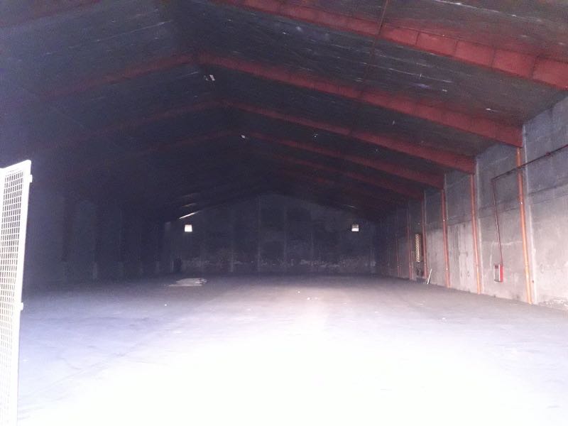 (Category: ) located in . Submitted by ronerichtan (Listing ID 1147074883, Image 1). Description: .
