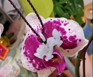 （分類：）位於 。 由 gracelam9266 提交（商品編號 1147207785，圖片 1）。簡介： 。