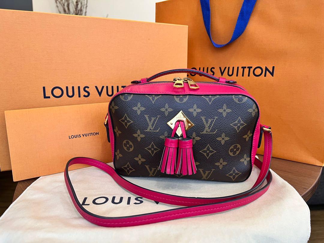Louis Vuitton Saintonge Issues 