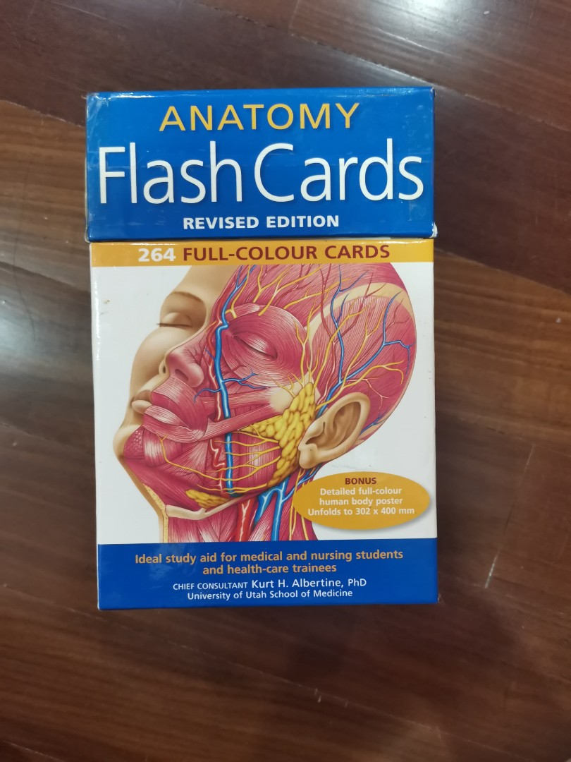 Anatomy Flashcards, Books & Stationery, Books on Carousell
