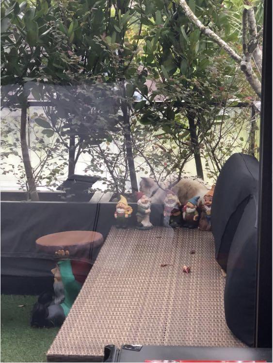 Outdoor table/seating, Furniture & Home Living, Outdoor Furniture on