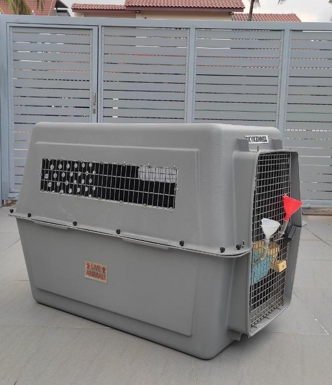 Petmate sky new arrivals kennel 48 inch