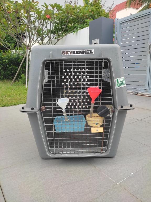 Airline Approved Travel Dog Kennel / Crate Giant Size, Pet Supplies