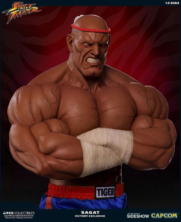 SEP121777 - STREET FIGHTER 1/4 SCALE SAGAT STATUE - Previews World