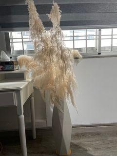 White vase with free Pampas