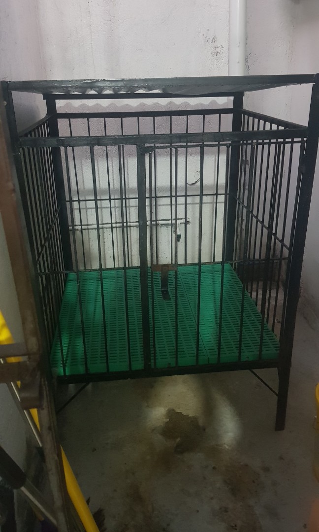 2nd Hand Dog Cage Almost new, Pet Supplies, Homes & Other Pet