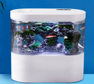 （分類：）位於 。 由 npg14288 提交（商品編號 1137397590，圖片 1）。簡介： 。